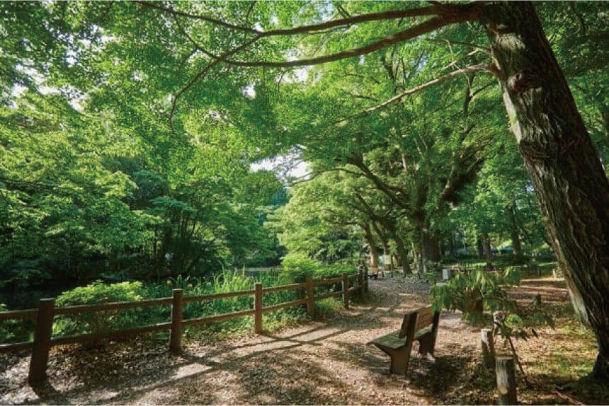 和田堀公園（約630m・徒歩8分）